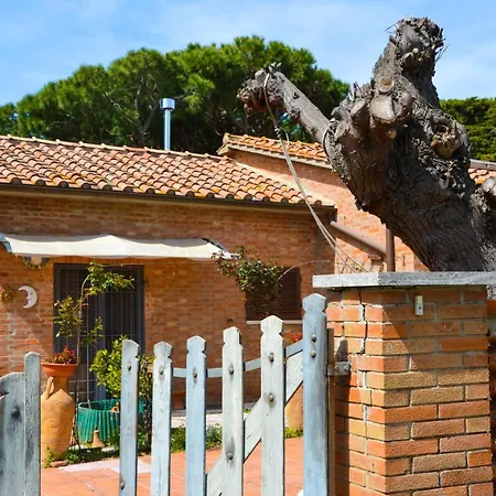 -saline Sea- Private 2 Minutes From Beach Albinia